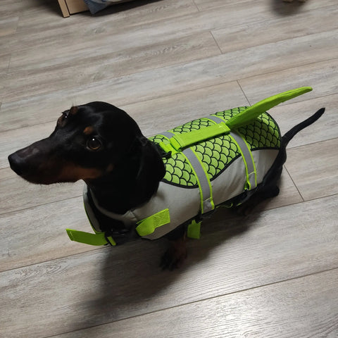 Shark Dachshund Life Jacket