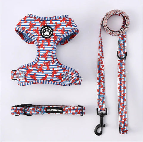 Dachshund Harness Set