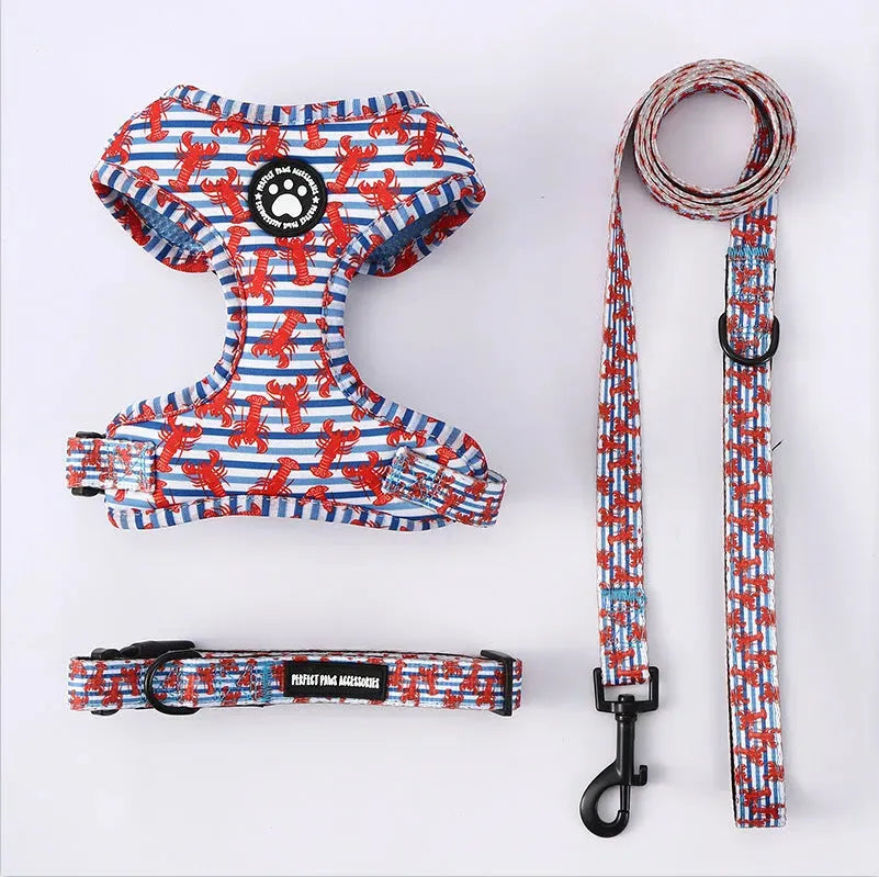 Dachshund Harness Set