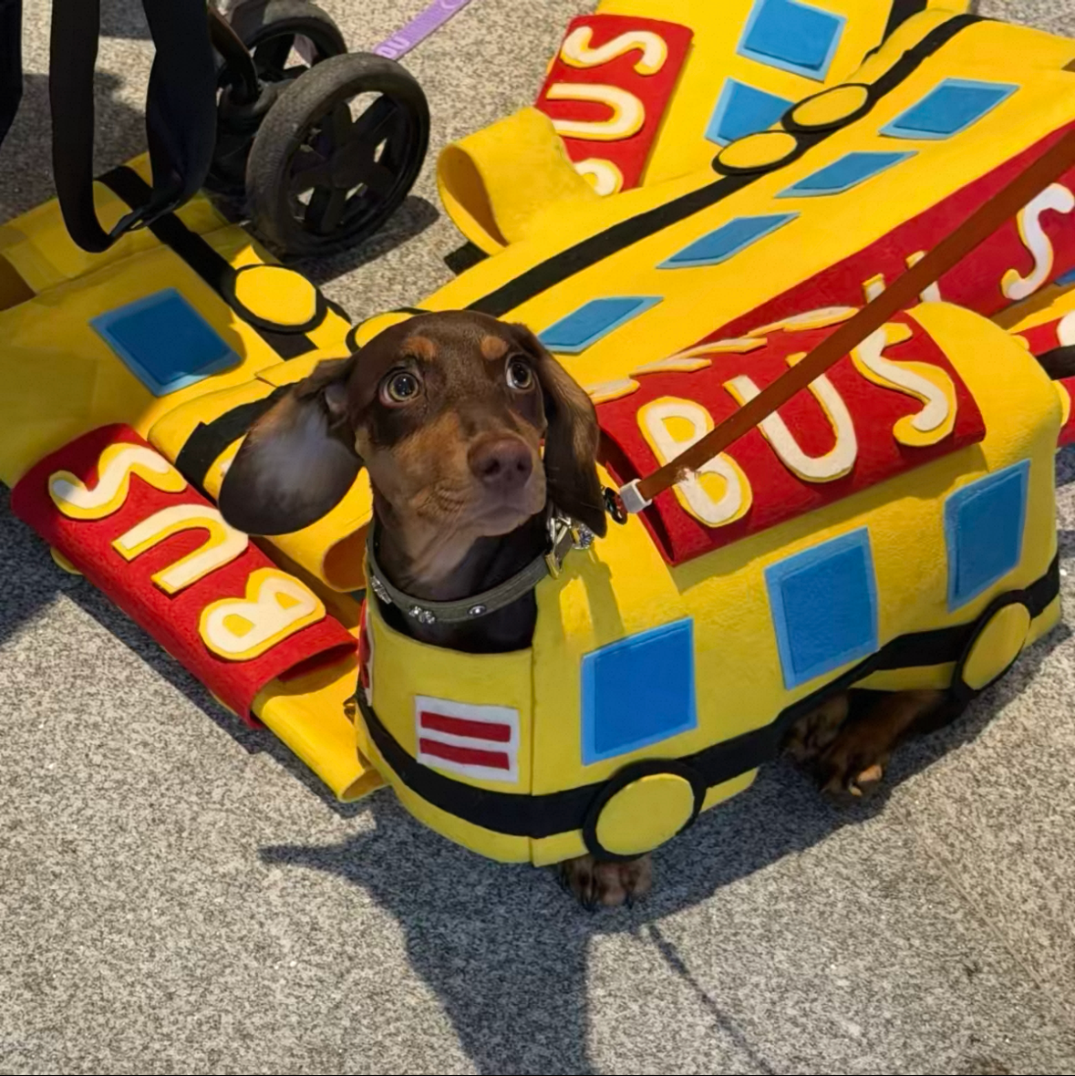 Dachshund Dog Bus Costume