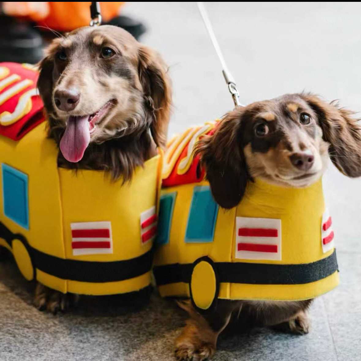 Dachshund Dog Bus Costume
