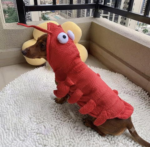Lobster Dachshund Costume