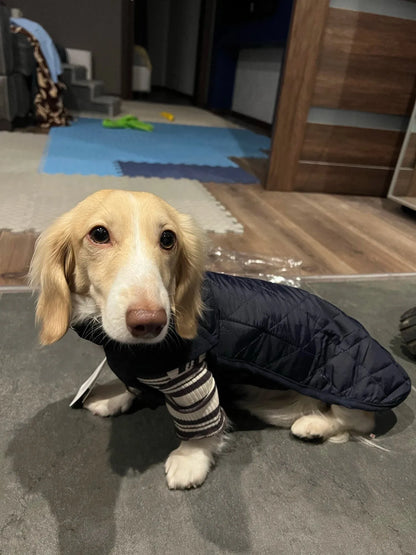 Quilted Wiener Dog Coat