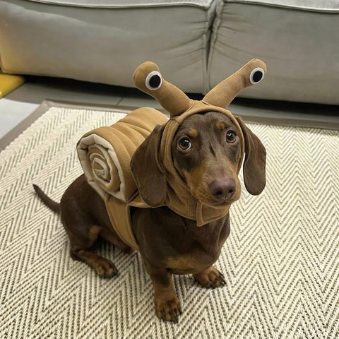 Dog Snail Halloween Costume