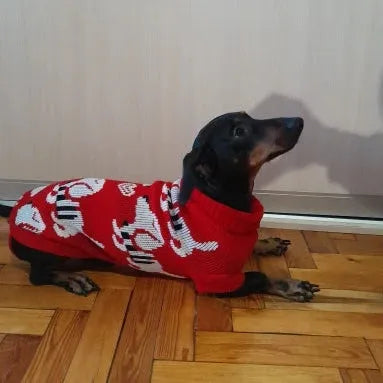 Dachshund Puppy Red Sweater