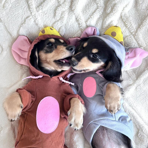 Dachshund Mouse Costume