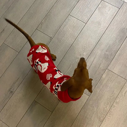 Dachshund Puppy Red Sweater