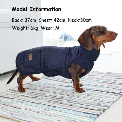 Quilted Wiener Dog Coat