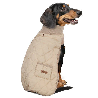 Quilted Wiener Dog Coat