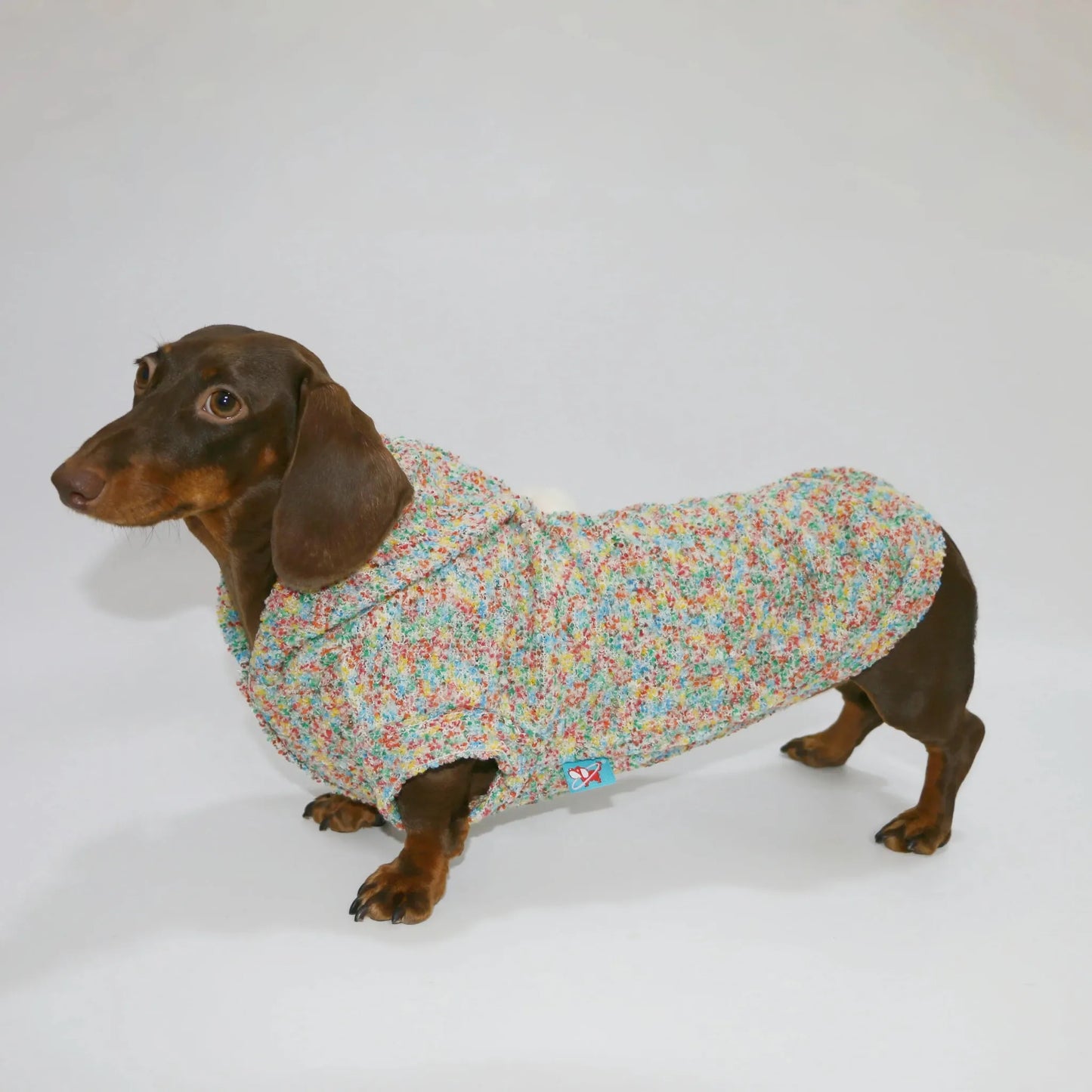 Knitted Dachshund Hoodie
