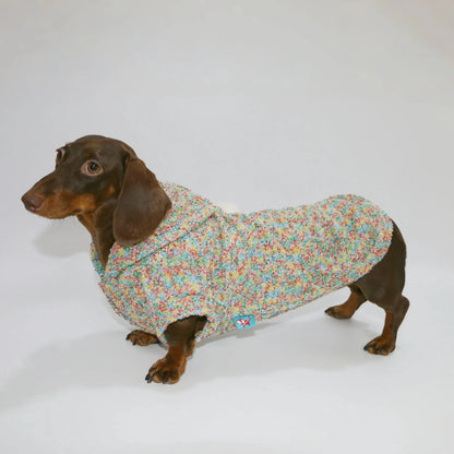 Knitted Dachshund Hoodie