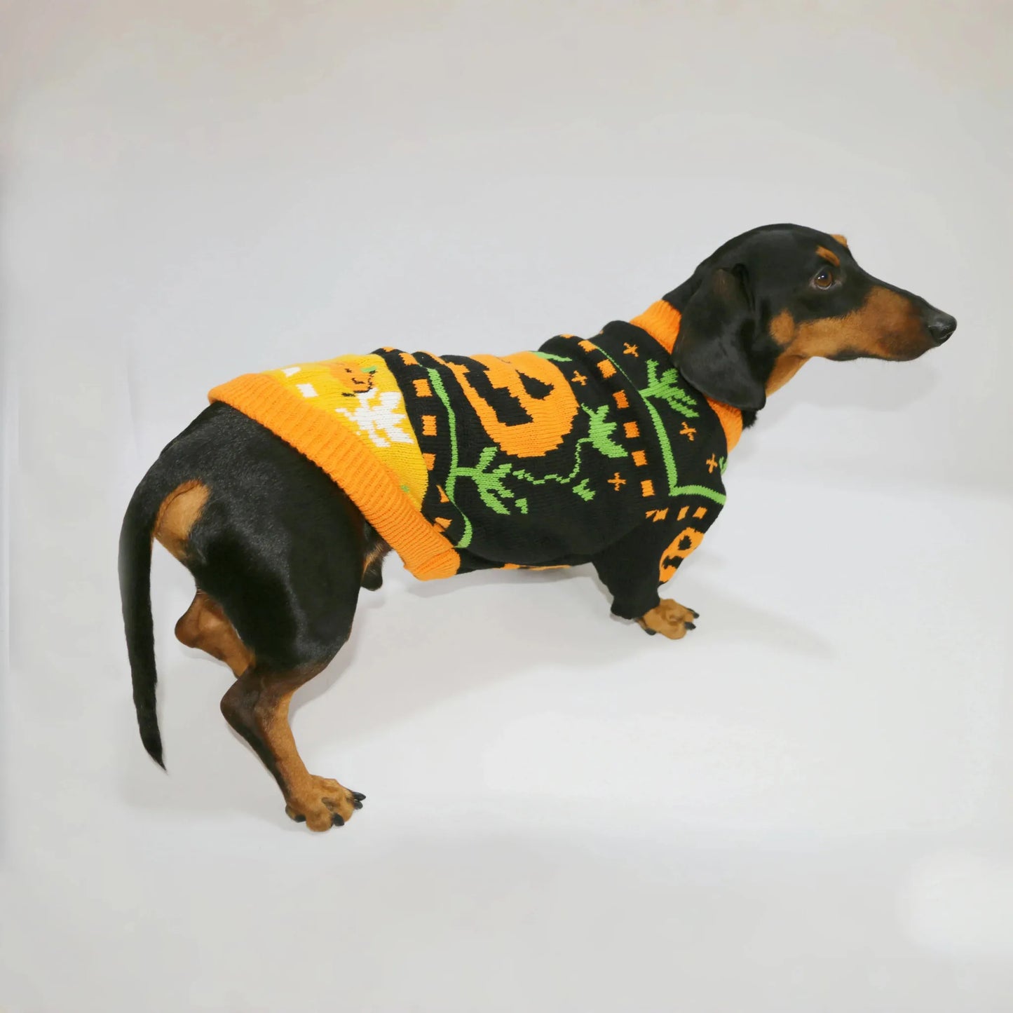 Dachshund Halloween Sweater