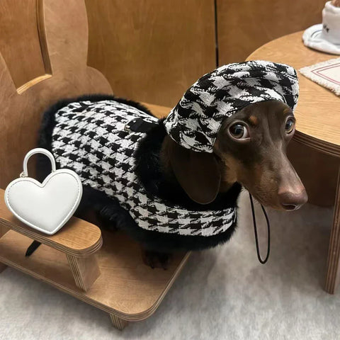 Houndstooth Dachshund Coat Set
