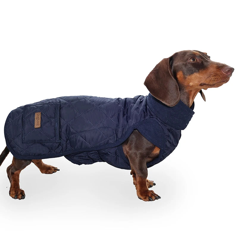 Quilted Wiener Dog Coat