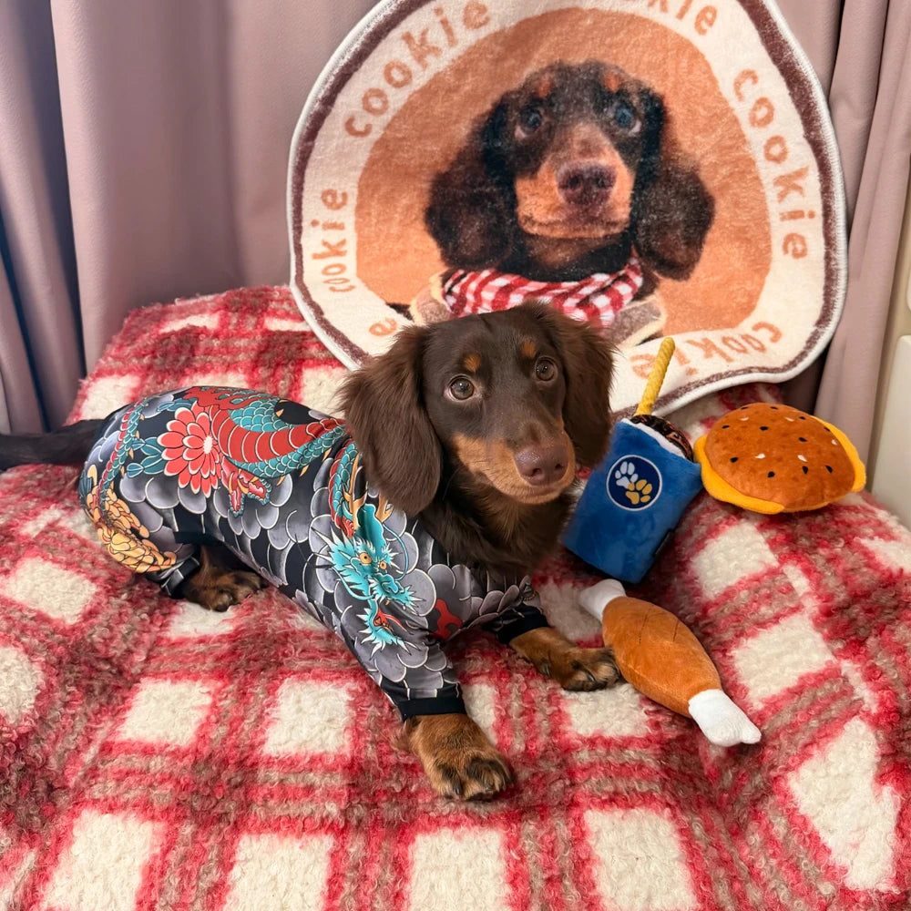 Tattoo Dachshund Onesie