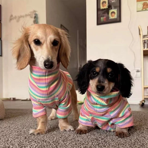 Rainbow Dachshund Turtleneck