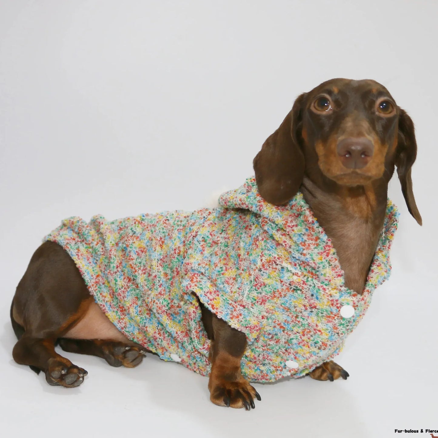 Knitted Dachshund Hoodie