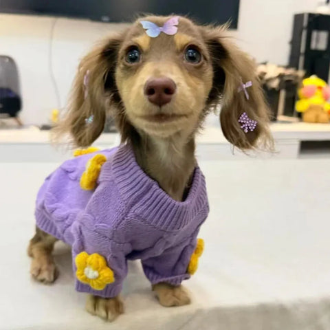 Wiener Dog Purple Sweater