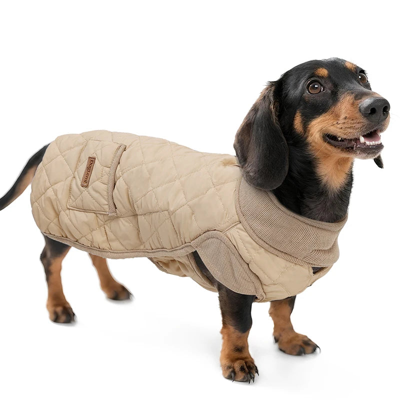 Quilted Wiener Dog Coat