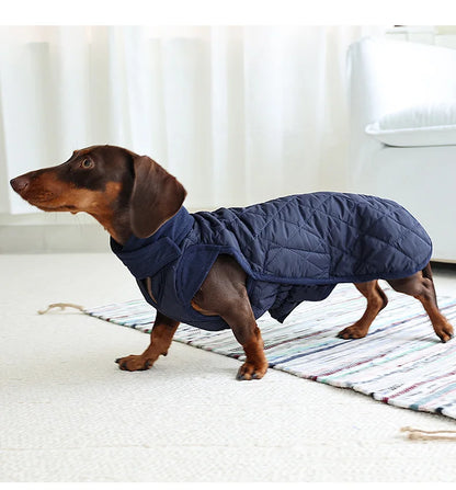 Quilted Wiener Dog Coat