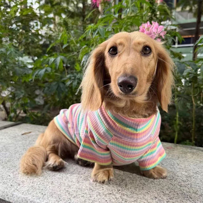 Rainbow Dachshund Turtleneck