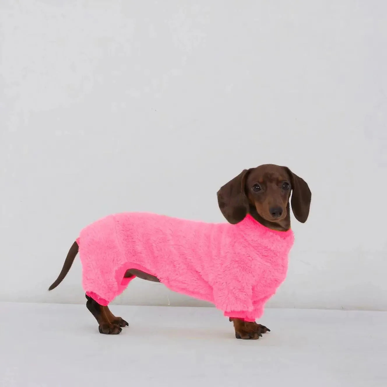 Dachshund Fleece Onesie