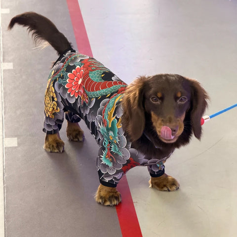 Tattoo Dachshund Onesie