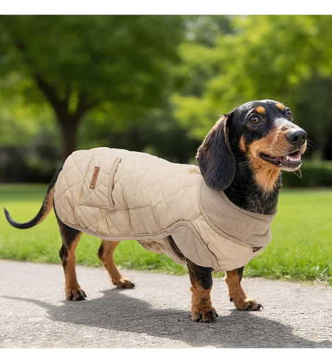Quilted Wiener Dog Coat
