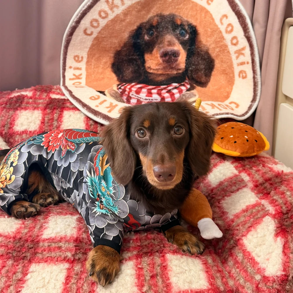 Tattoo Dachshund Onesie
