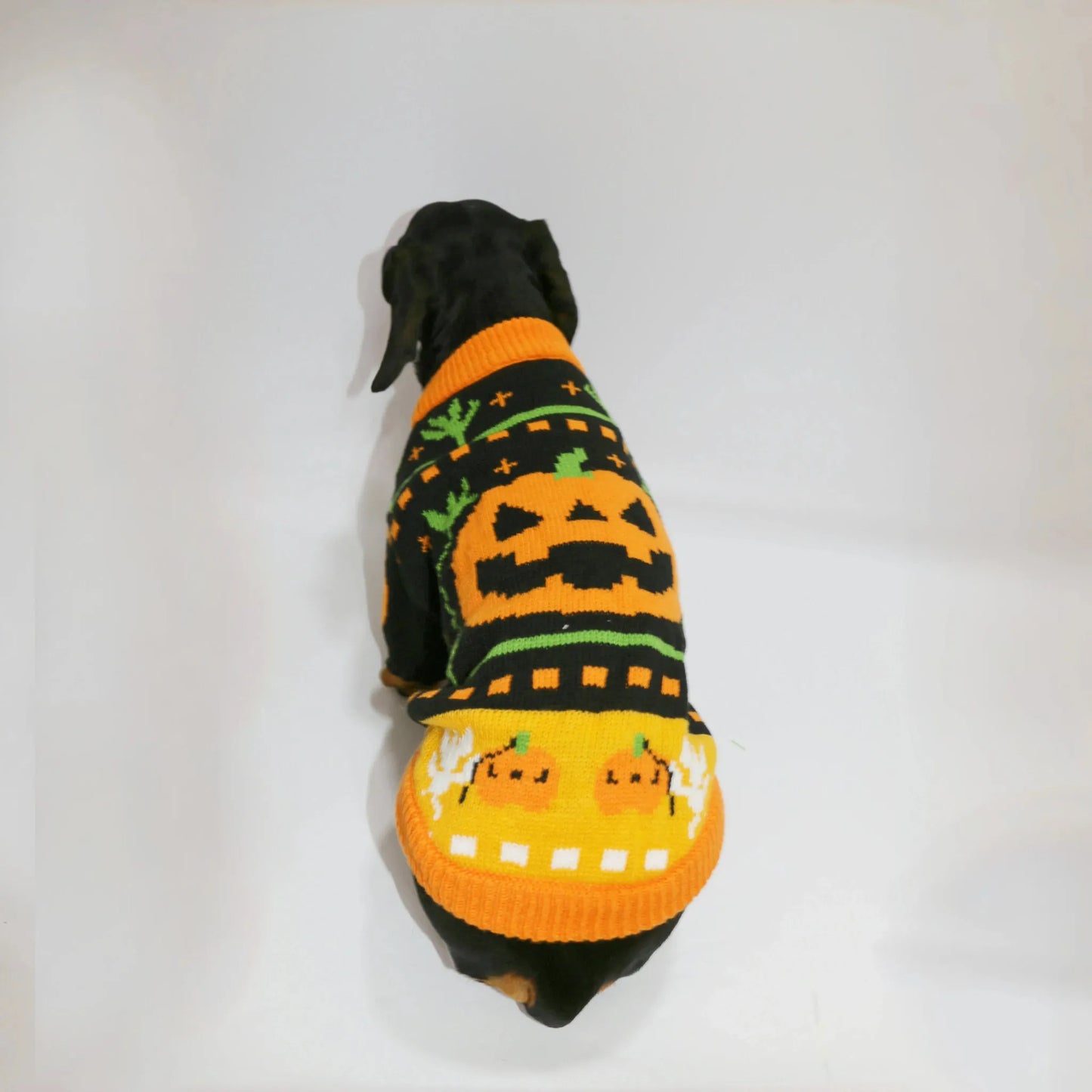 Dachshund Halloween Sweater