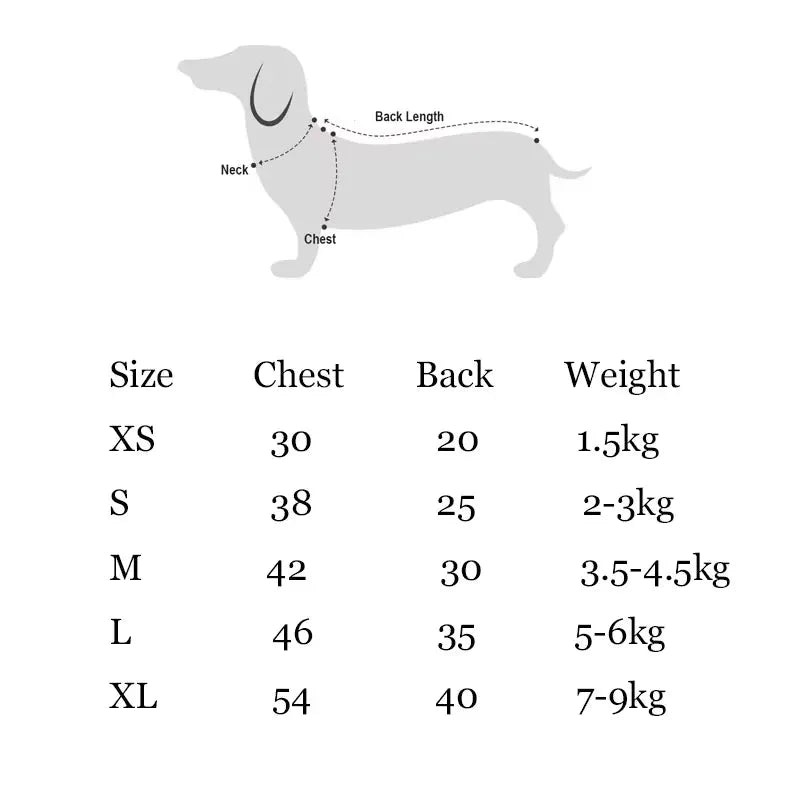 Dachshund Halloween Sweater