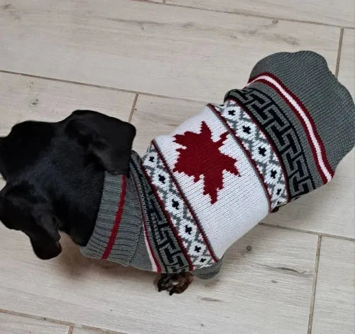Canadian Flag Sweater for Dachshunds