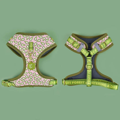 Avocado Dachshund Harness Set The Doxie World