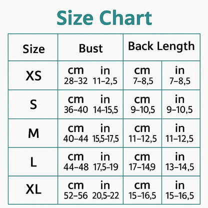 Blue Rain Dachshund Overall The Doxie World