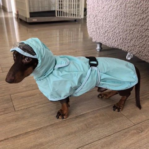 Blue Rain Dachshund Overall The Doxie World