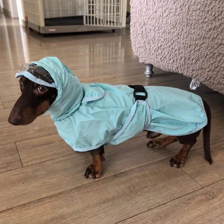 Blue Rain Dachshund Overall The Doxie World
