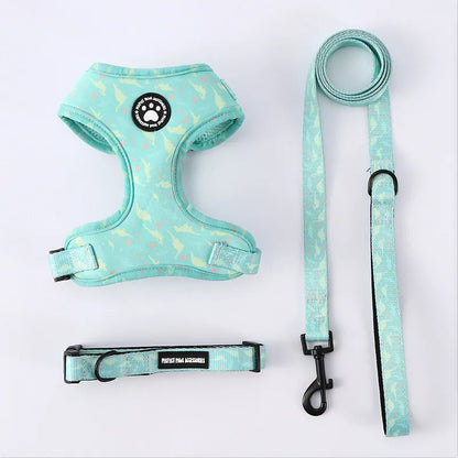 Dachshund Harness Set