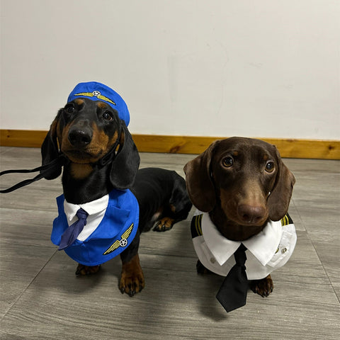 Dachshund Dog Pilot Costume