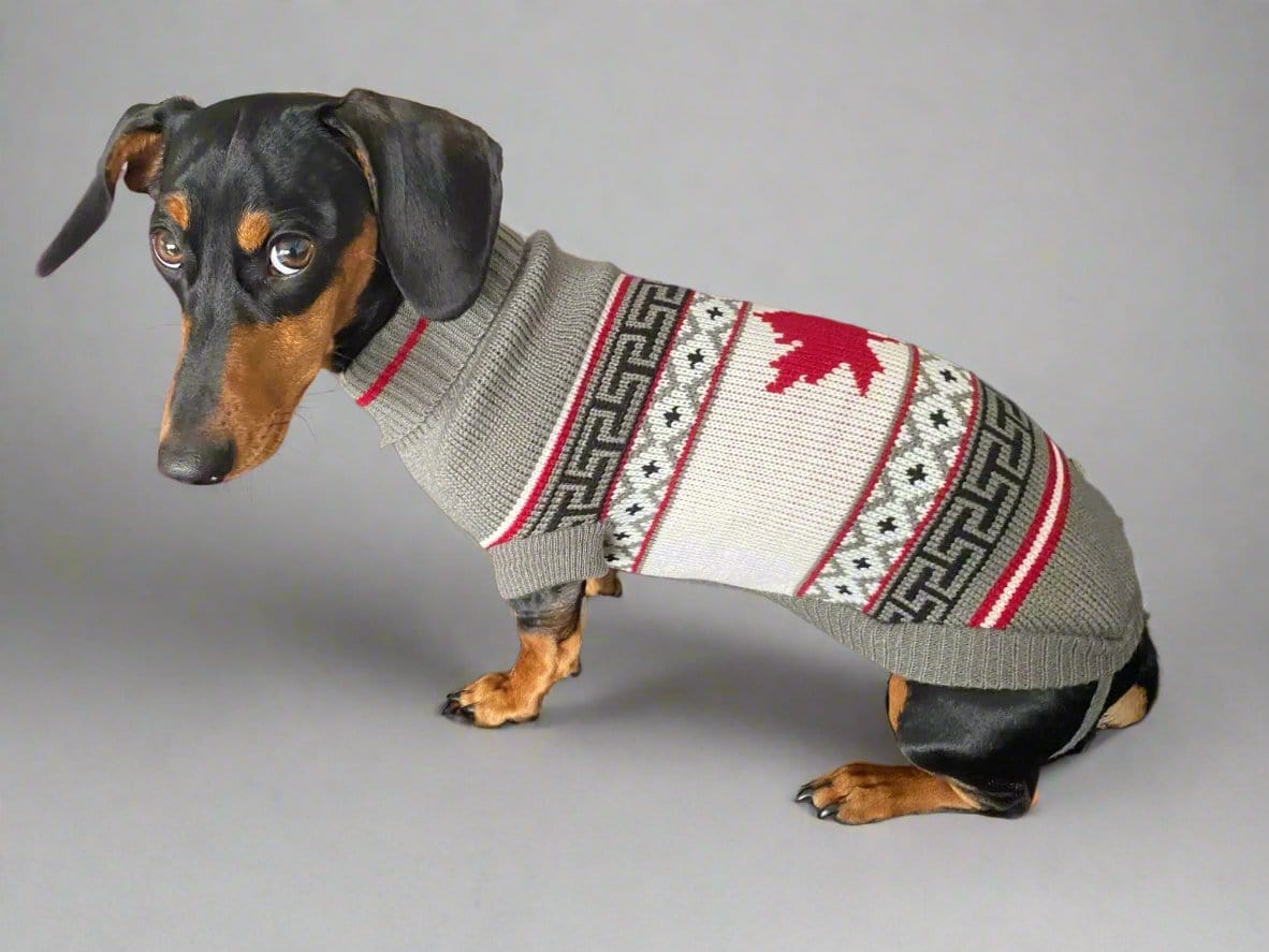 Canadian Flag Sweater for Dachshunds The Doxie World