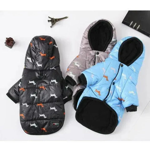 Charlie Dachshund Winter Coat The Doxie World