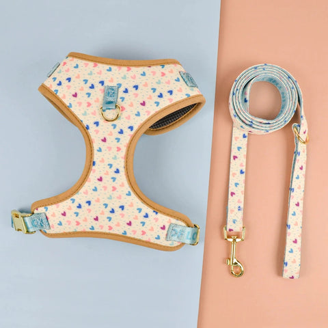 Coffee Wiener Dog Harness Set White Hearts / S The Doxie World
