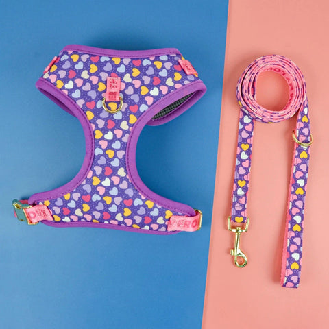 Coffee Wiener Dog Harness Set Purple Hearts / S The Doxie World