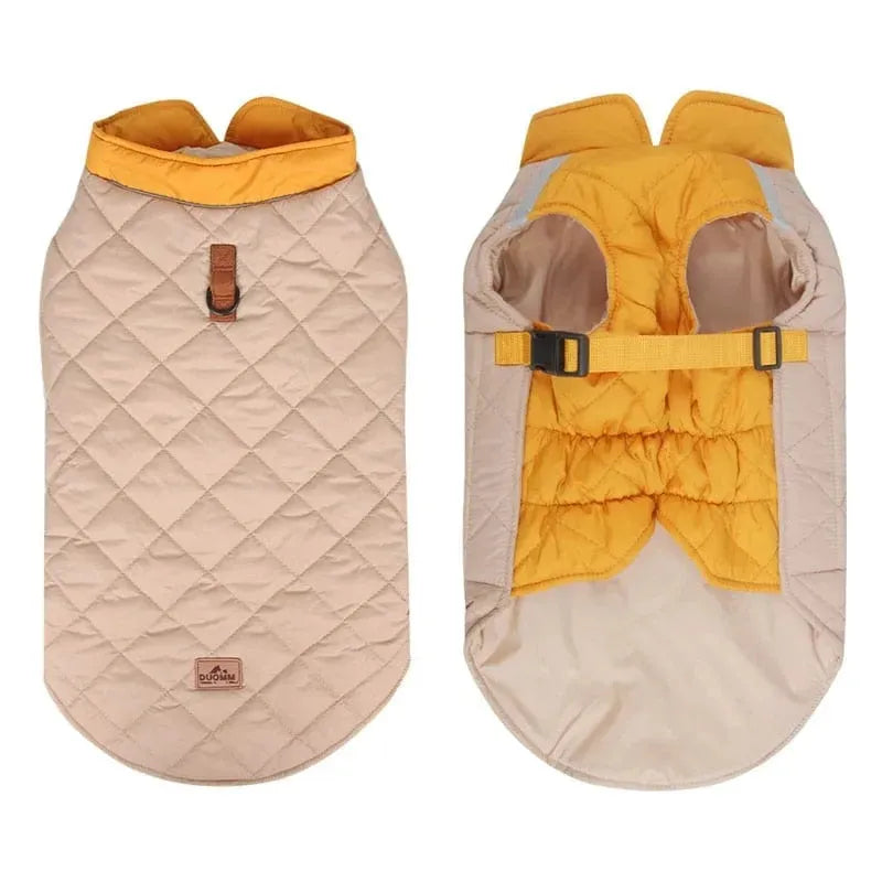 Colorblock Dachshund Jacket The Doxie World