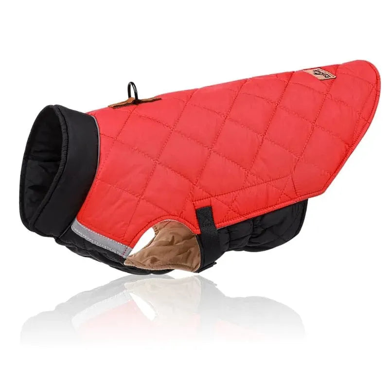 Colorblock Dachshund Jacket Red / M The Doxie World