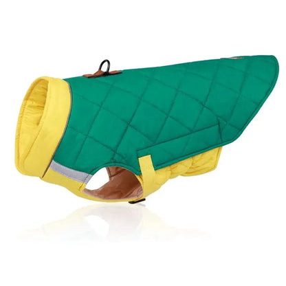 Colorblock Dachshund Jacket Green / M The Doxie World