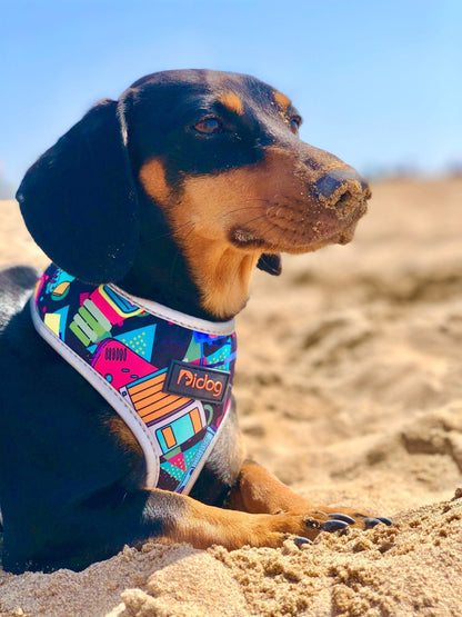 Colorful Dachshund Harness The Doxie World