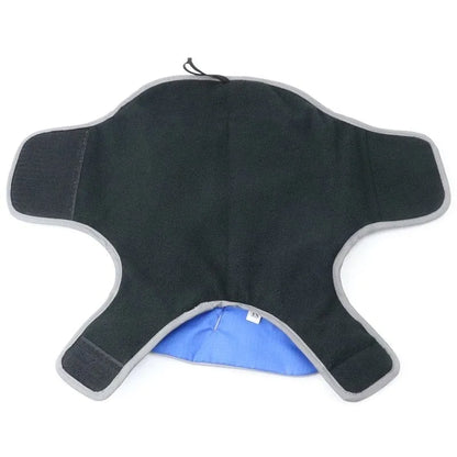 Cooper Waterproof Dachshund Jacket thedoxieworld