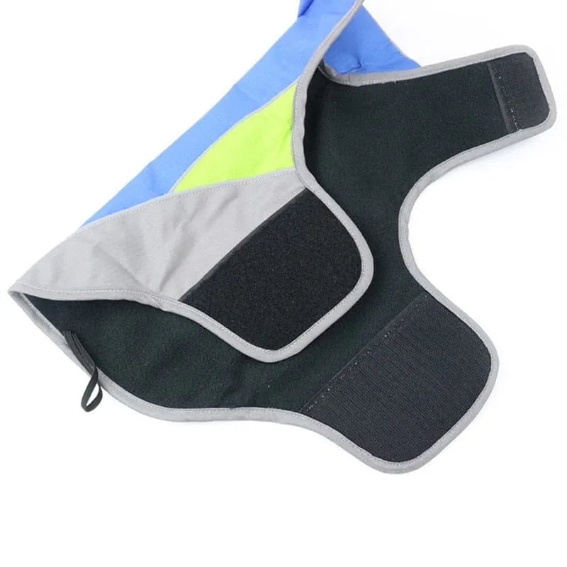 Cooper Waterproof Dachshund Jacket thedoxieworld