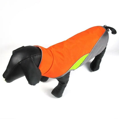 Cooper Waterproof Dachshund Jacket thedoxieworld