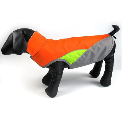 Cooper Waterproof Dachshund Jacket thedoxieworld